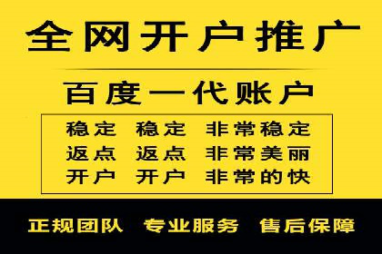 竞价推广成功案例解析